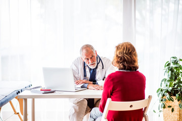 Wall Mural - Doctor with laptop talking to a senior woman in office.