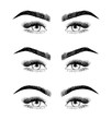 Eyebrow shaping for women face makeup.. 3 basic eyebrow shape types vector illustration. Fashion female brow