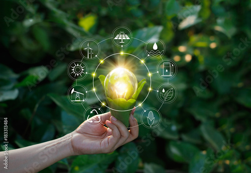 Hand holding light bulb on green nature with icons energy sources for renewable, sustainable development Tableau sur Toile