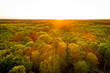 Wald in Deutschland von oben
