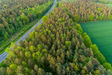 Fototapeta Mapy - Wald mit Landstraße in Deutschland