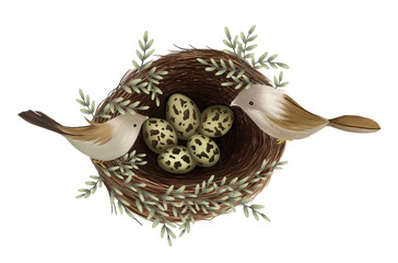 Hand painted of Bird sitting on nest with eggs and branch isolated on white background, nature illustration.