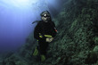 © Marcin - Diving in Mediterranean Sea - Majorca, Spain