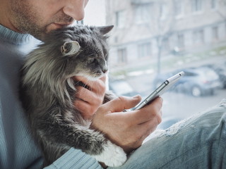 Young man sits on the windowsill, holds a beautiful, fluffy kitten on his lap and reads news on his mobile phone