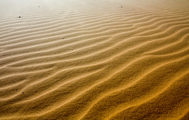  Beauty of Landscape desert, Red Sand Dune Mui Ne in Vietnam