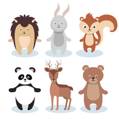 Wall Mural - woodland animals wild icon vector illustration design