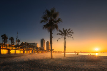 Wall Mural - barceloneta beach in barcelona