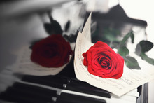 Red Rose And Musical Sheets On Piano Keys