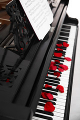 Poster - Rose petals on piano keys