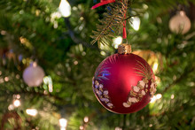 Close Up Of Elegant Red And Gold Glittery Ornament On Christmas Pine Tree