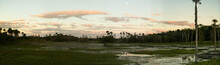 Everglades Panorama Of Florida Wetlands At Sunset In The Fall