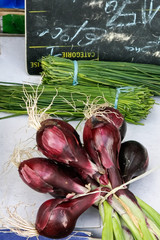 Wall Mural - vegetables on a local rural market in summer month july of city metz in france