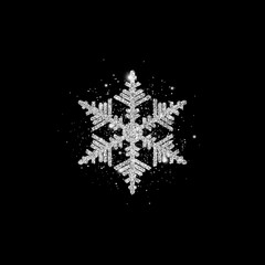 Poster - snowflake