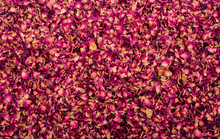Background Of Dried  Rose Petals