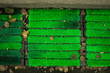 Green mat