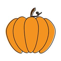 Poster - pumpkin fresh isolated icon vector illustration design