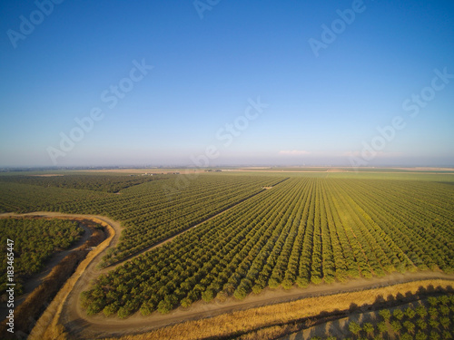 Fotografía Beautiful aerial view of large almond orchard