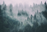 Fototapeta Sypialnia - Misty landscape with fir forest in hipster vintage retro style