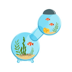 Sticker - Multi-room aquarium in round shape with decorative fishes, stones, shell and different algae on sand. Underwater world. Flat vector design for website or mobile app