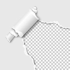 Wall Mural - Torn lower right corner of the white sheet of paper with paper curl. Transparent background of the resulting hole. Vector illustration.