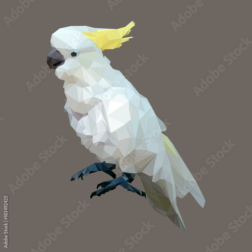 Fotografía polygonal sulphur crested cockatoo, geometric polygon bird, isolated vector anim