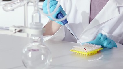 Poster - Technician work in biological laboratory with pipette