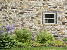 Old Stone Wall And Rustic Window With Purple Hosta Flowers