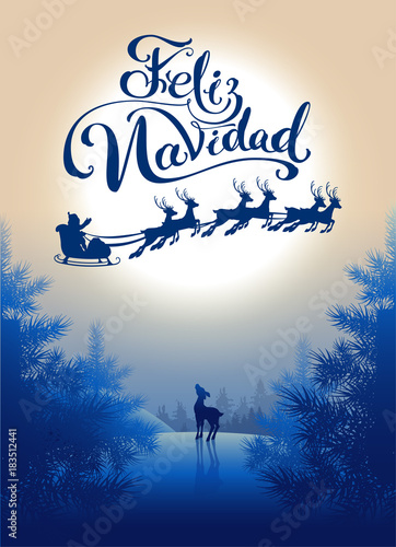 Fotografie, Obraz Feliz navidad translation from Spanish Merry Christmas