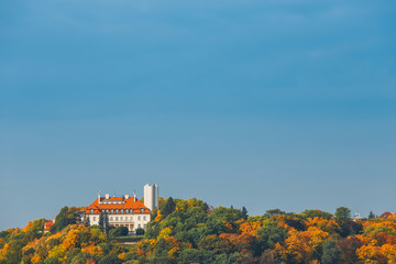 Wall Mural - View of Prague from the hill of Vysehrad fort, Czech Republic