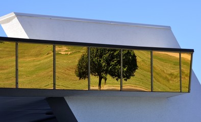 Tree In Window Two