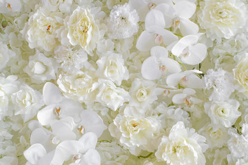 White flower background