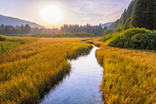 Beautiful Sunset Landscape In Zelenci Springs Nature Reserve Near The Town Of Kranjska Gora, Slovenia. Small River With Clear Water. Unspoiled Natural Beauty
