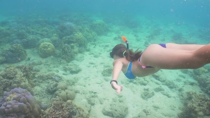 young girl in a mask and a tube dives under the water. girl snorkelling underwater. tourist having f