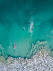 Canvas Print - Morning Dip