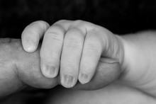 Black And White Of Infant's Hand Holding On To Man's Finger