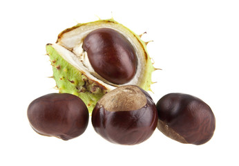 Sticker - chestnuts isolated on white background closeup