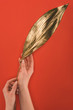 © LIGHTFIELD STUDIOS - partial view of female hands holding golden leaf isolated on red