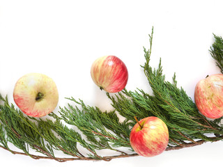 Wall Mural - Juniper branches and red apples isolated on white background. Christmas, New Year background. Frame of coniferous branches of juniper. Top view, flat design.	