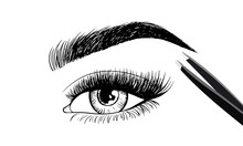 Eyes With Eyebrow And Long Eyelashes And Tweezers To Build. Logo For Eyebrow Mater, Eyelash Extension Eyebrow. Vector Illustration.