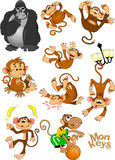 Fototapeta Pokój dzieciecy - collection of monkeys