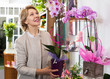 Woman picking potted phalaenopsis flower
