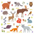 © nadzeya26 - Vector illustration of forest animals: moose, deer, bear, hedgehog, rabbit, squirrel, beaver, wolf, fox, raccoon, owl, grass snake, isolated on white background.