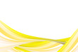 Abstract white background lines wave yellow 