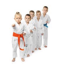 Wall Mural - Little children practicing karate on white background