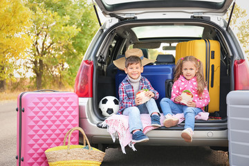 Poster - Cute children sitting in car trunk, outdoors