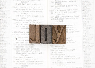 Wall Mural - Joy on an Open Page of the Bible