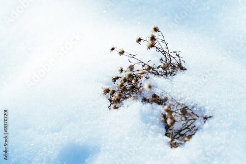 Fotolia アドビストックのデザイン かべいろ Com おしゃれ壁紙リフォーム貼り替え インクジェット壁紙のかべいろ Com