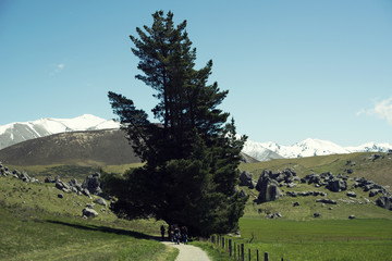 Paisaje montañoso con una pradera verde en un día soleado con algunas nubes y cielo azul. Hay un gran árbol en medio de un camino.