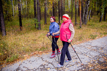 Senior ladies nordic walking