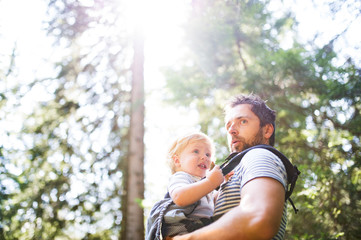 Wall Mural - Young father with little boy in forest, summer day.